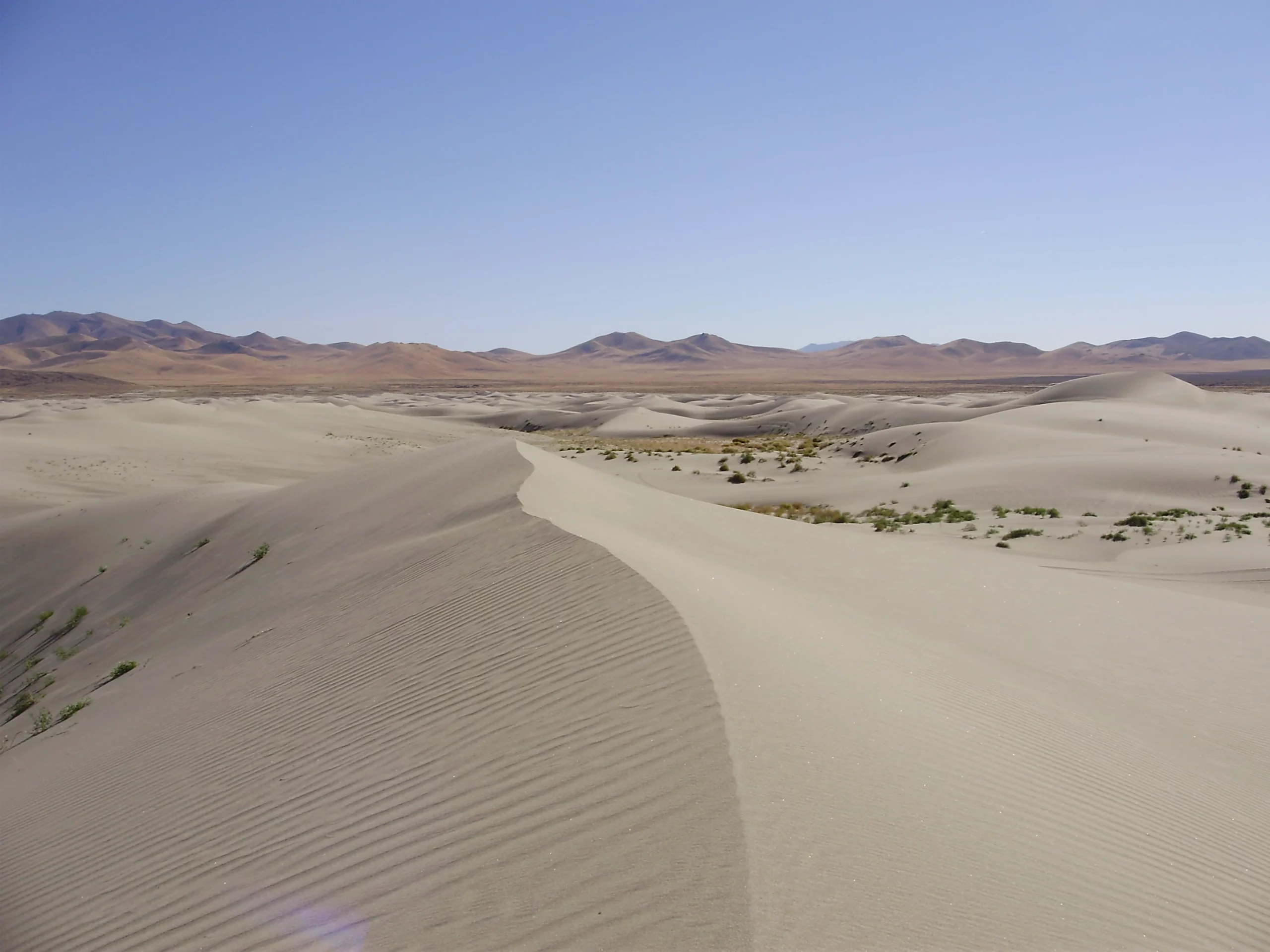 Winnemucca Sand Dunes Winnemucca Sand Dunes