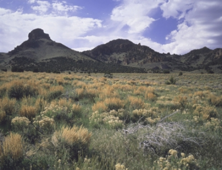 Professional Spray Foam Insulation Services in Battle Mountain, NV