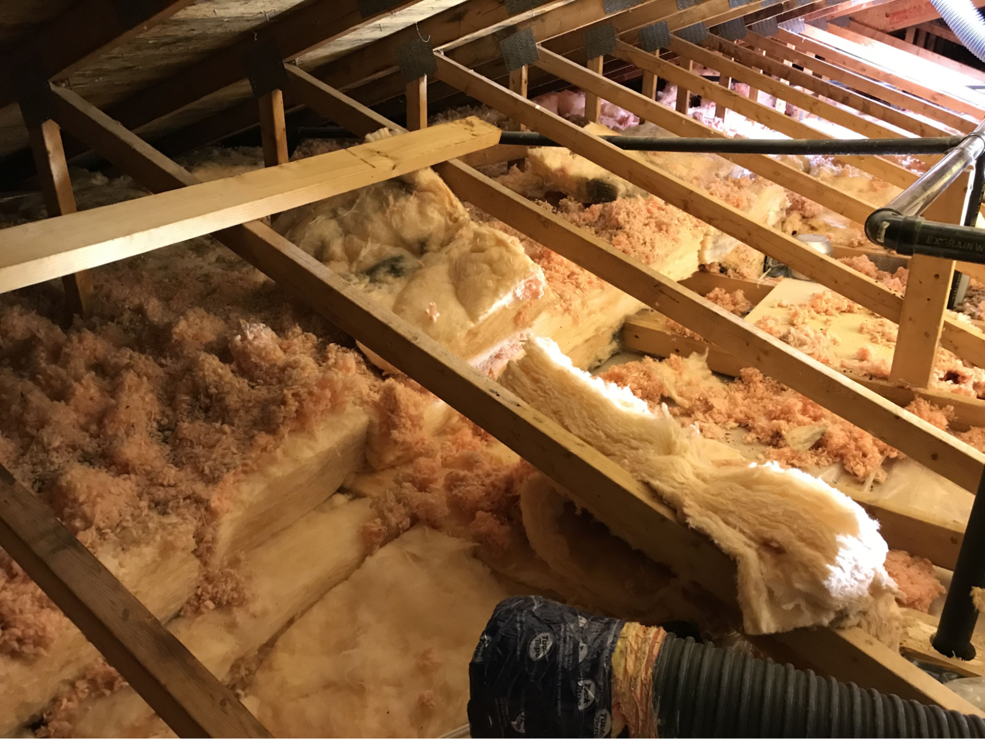 Why Hire Experts for Insulation Removal Services