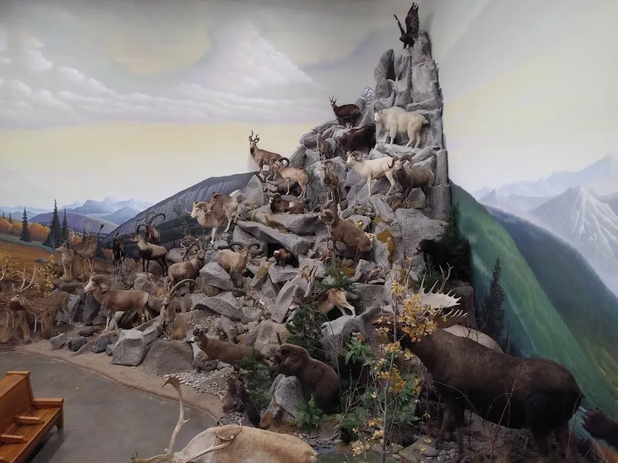 Northeastern Nevada Museum